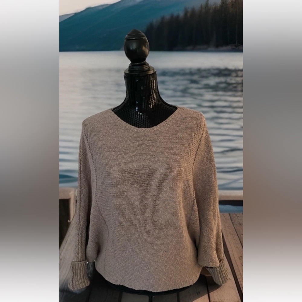 EUC Shrinking Violet Sweater Women’s Size Small Beige/Brown